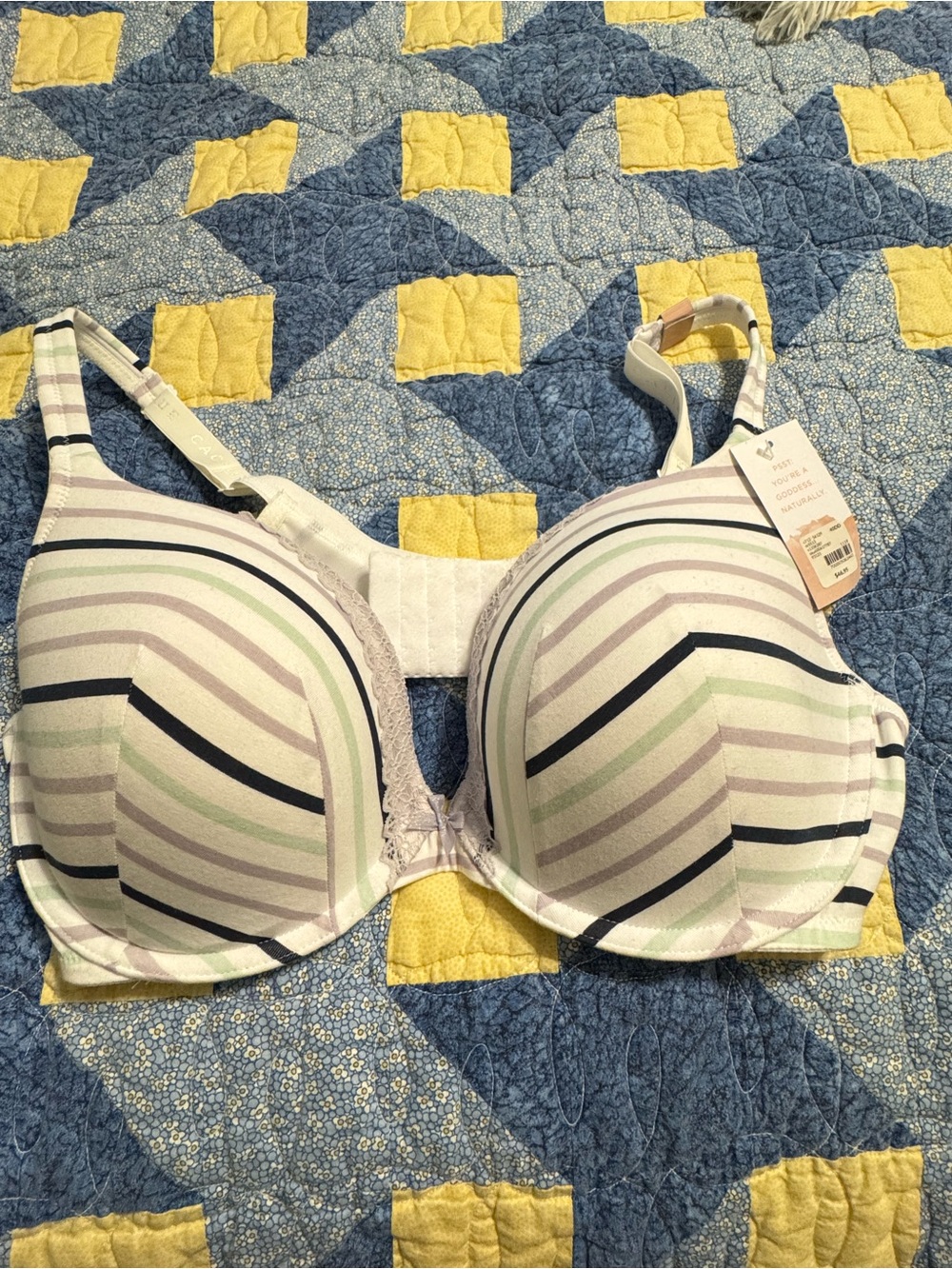 Cacique Pastel Striped Contour T-Shirt Bra - Mint, Lavender, Navy, White
